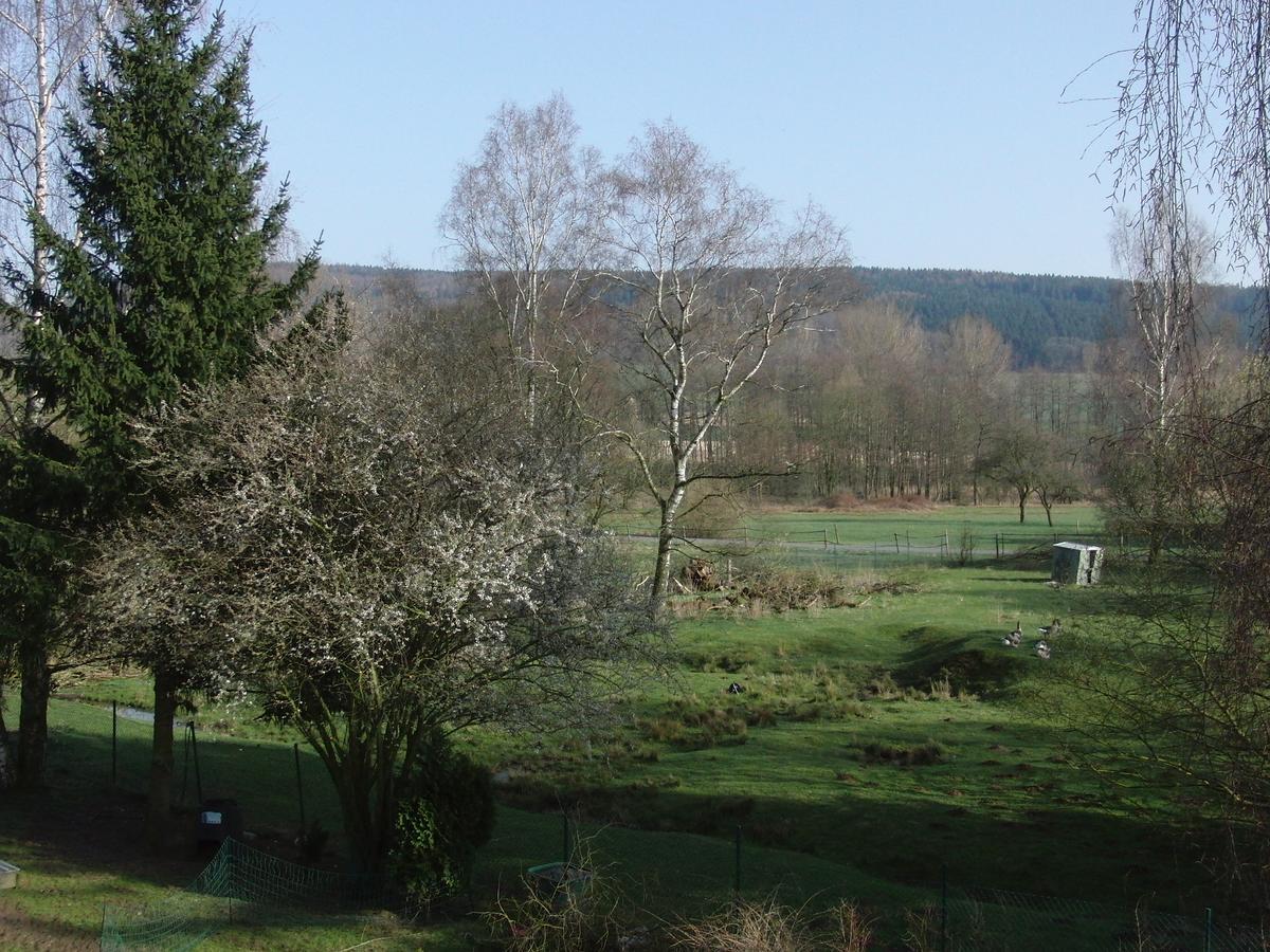 Guesthouse Herriot Springe Exteriör bild
